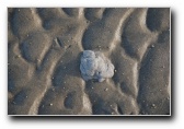[Click to enlarge]